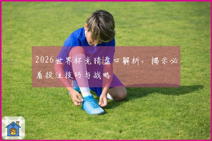 2026世界杯竞猜盘口解析，揭示必看投注技巧与战略