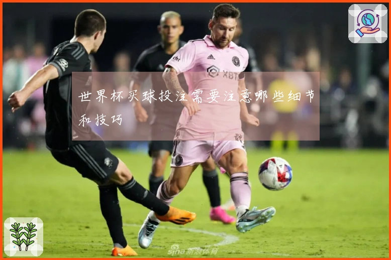 世界杯买球投注需要注意哪些细节和技巧