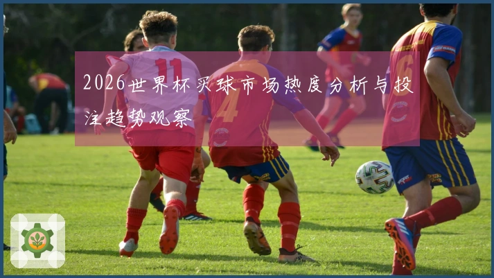 2026世界杯买球市场热度分析与投注趋势观察