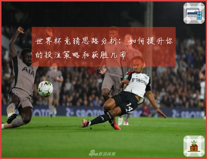 世界杯竞猜思路分析：如何提升你的投注策略和获胜几率