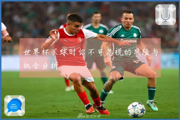 世界杯买球时你不可忽视的风险与机会分析