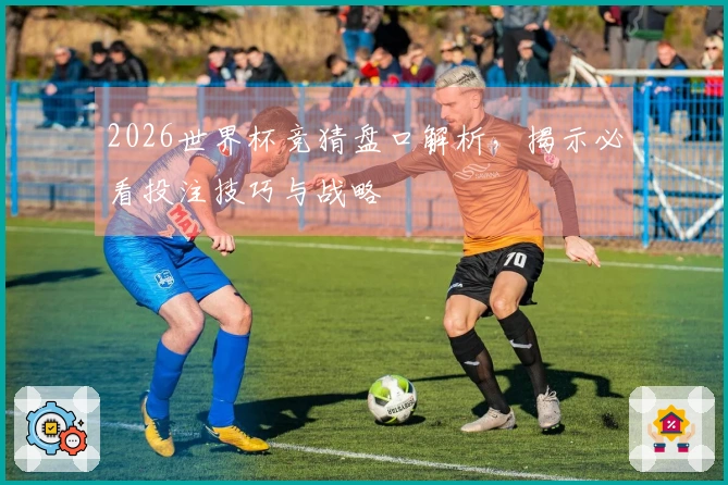 2026世界杯竞猜盘口解析，揭示必看投注技巧与战略