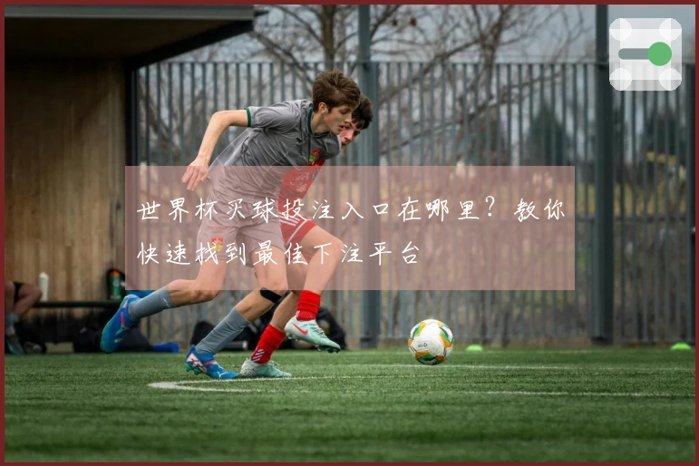 世界杯买球投注入口在哪里？教你快速找到最佳下注平台