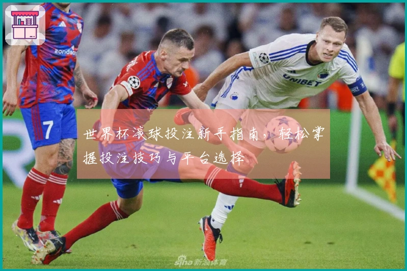 世界杯滚球投注新手指南，轻松掌握投注技巧与平台选择