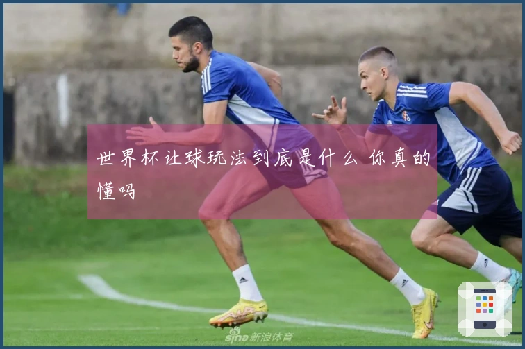 世界杯让球玩法到底是什么 你真的懂吗