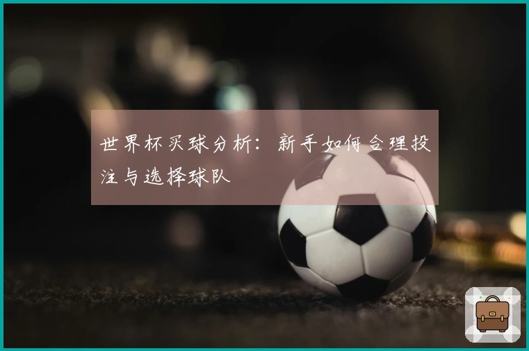 世界杯买球分析：新手如何合理投注与选择球队