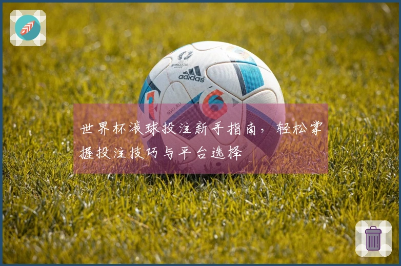 世界杯滚球投注新手指南，轻松掌握投注技巧与平台选择