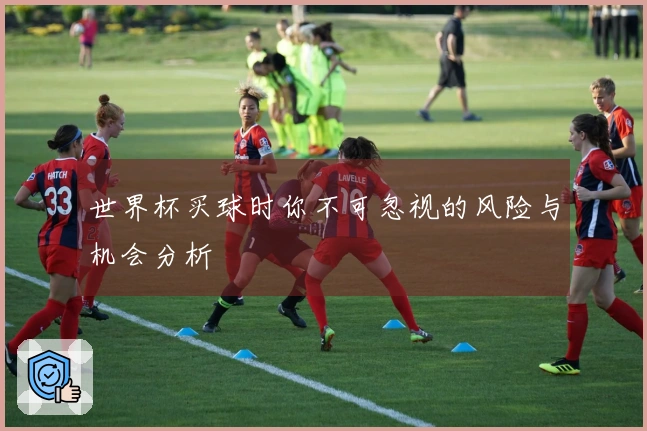 世界杯买球时你不可忽视的风险与机会分析