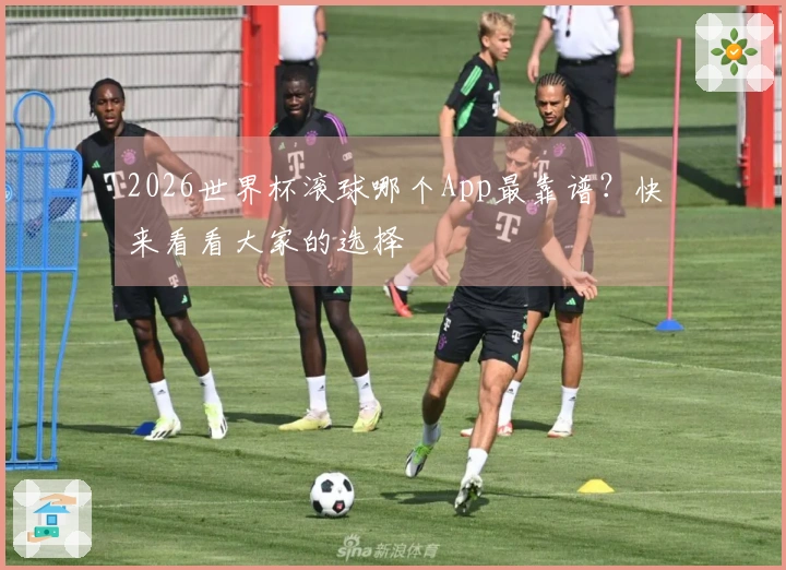 2026世界杯滚球哪个App最靠谱？快来看看大家的选择
