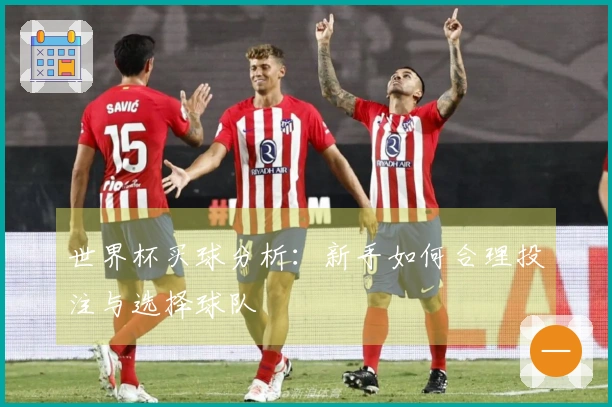 世界杯买球分析：新手如何合理投注与选择球队